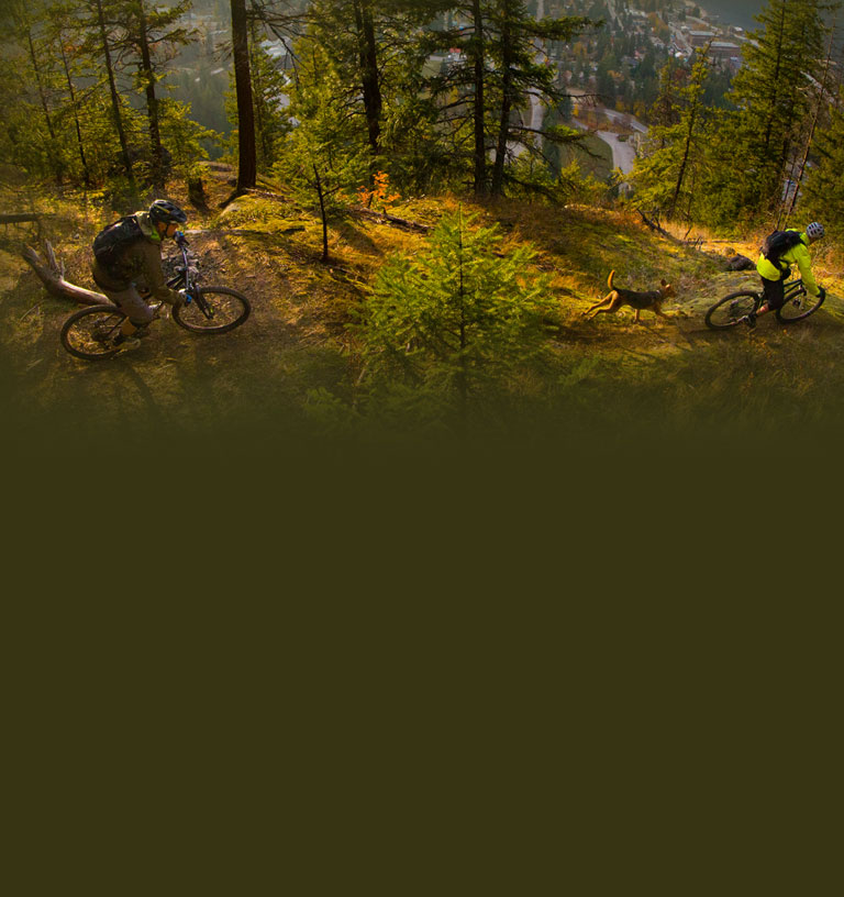 Mountain Bike Tires Maxxis Tires USA