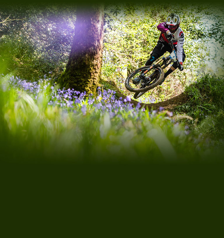 Mountain Bike Tires Maxxis Tires USA