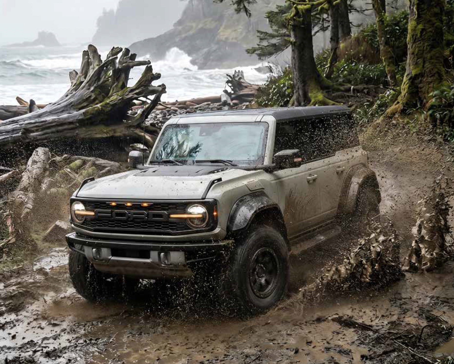 canada-bronco