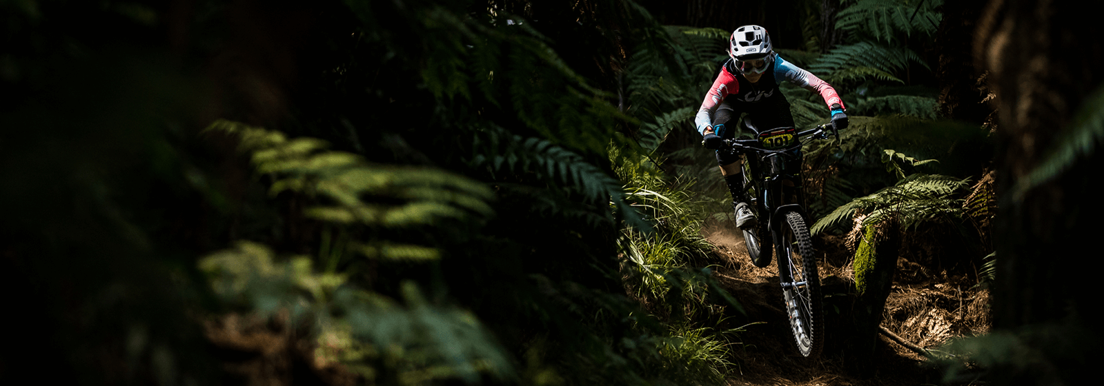 CWXRoto20_AS6I4712 (1)