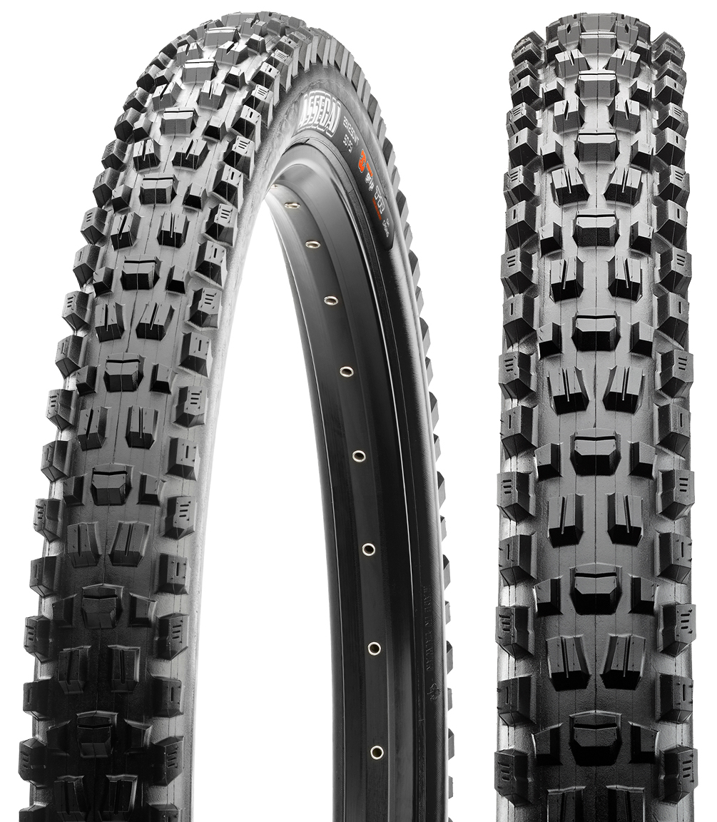 Assegai Bike Tire