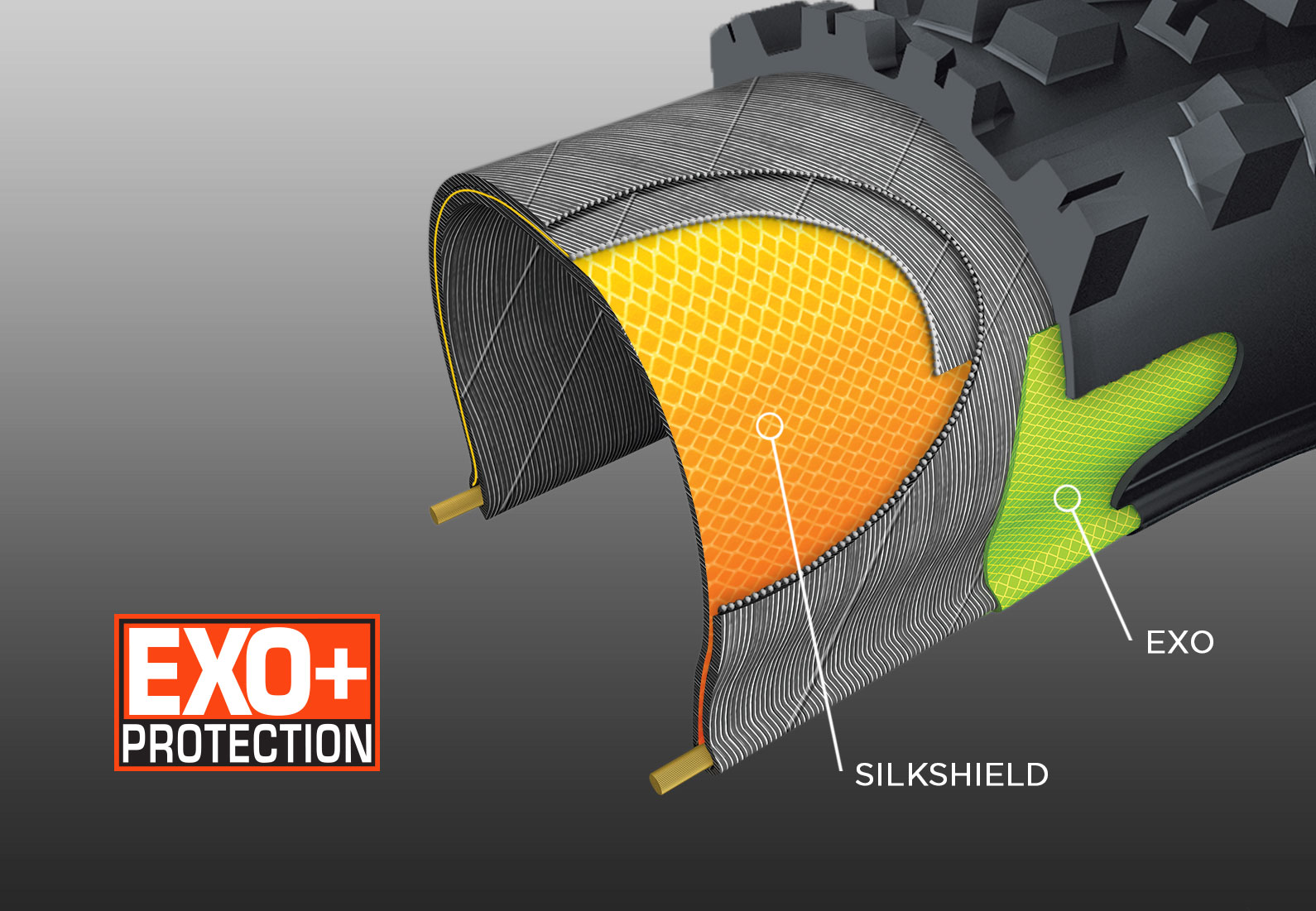 Maxxis Tire Compound Chart