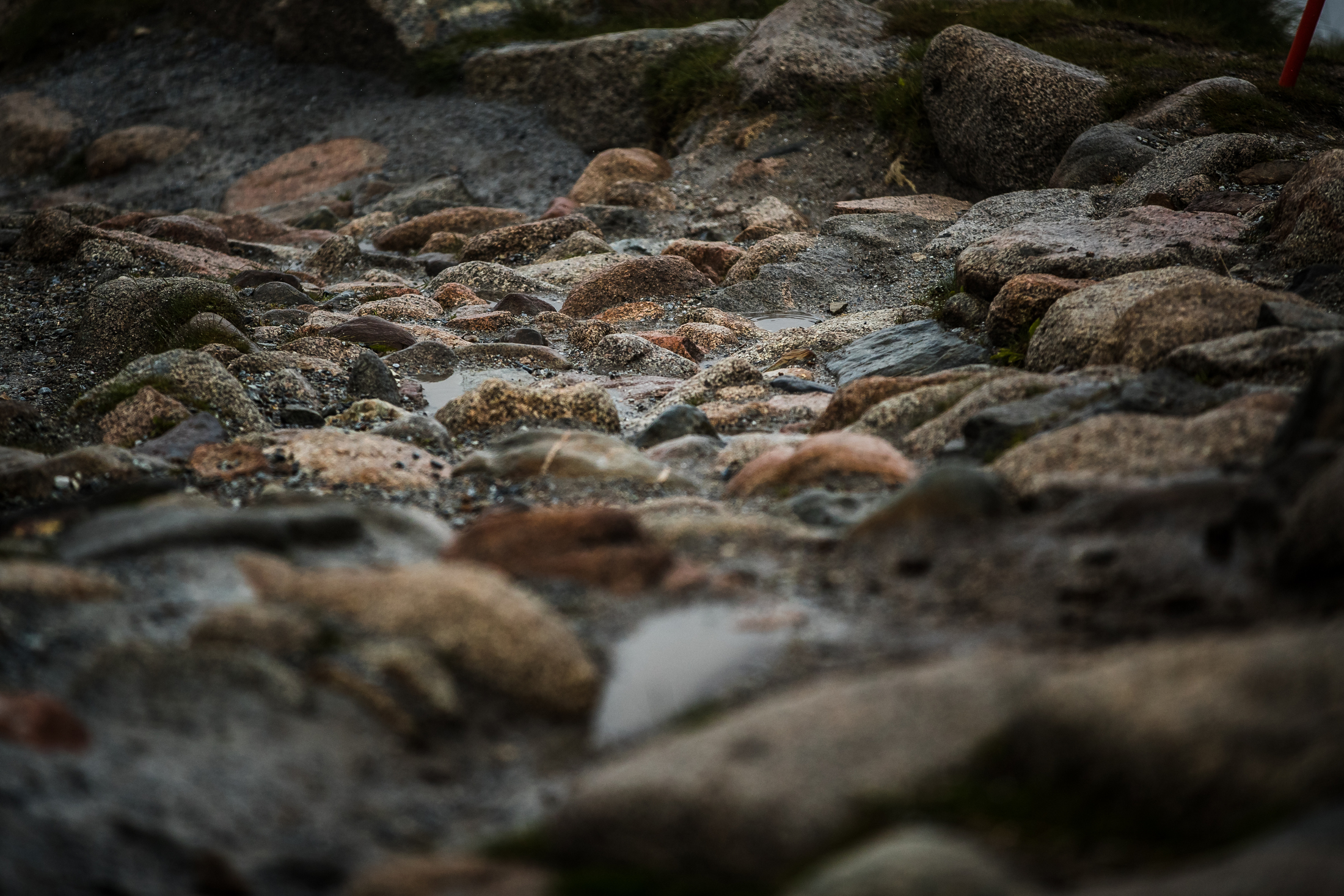 The wet and dynamic rocks of Fort William.