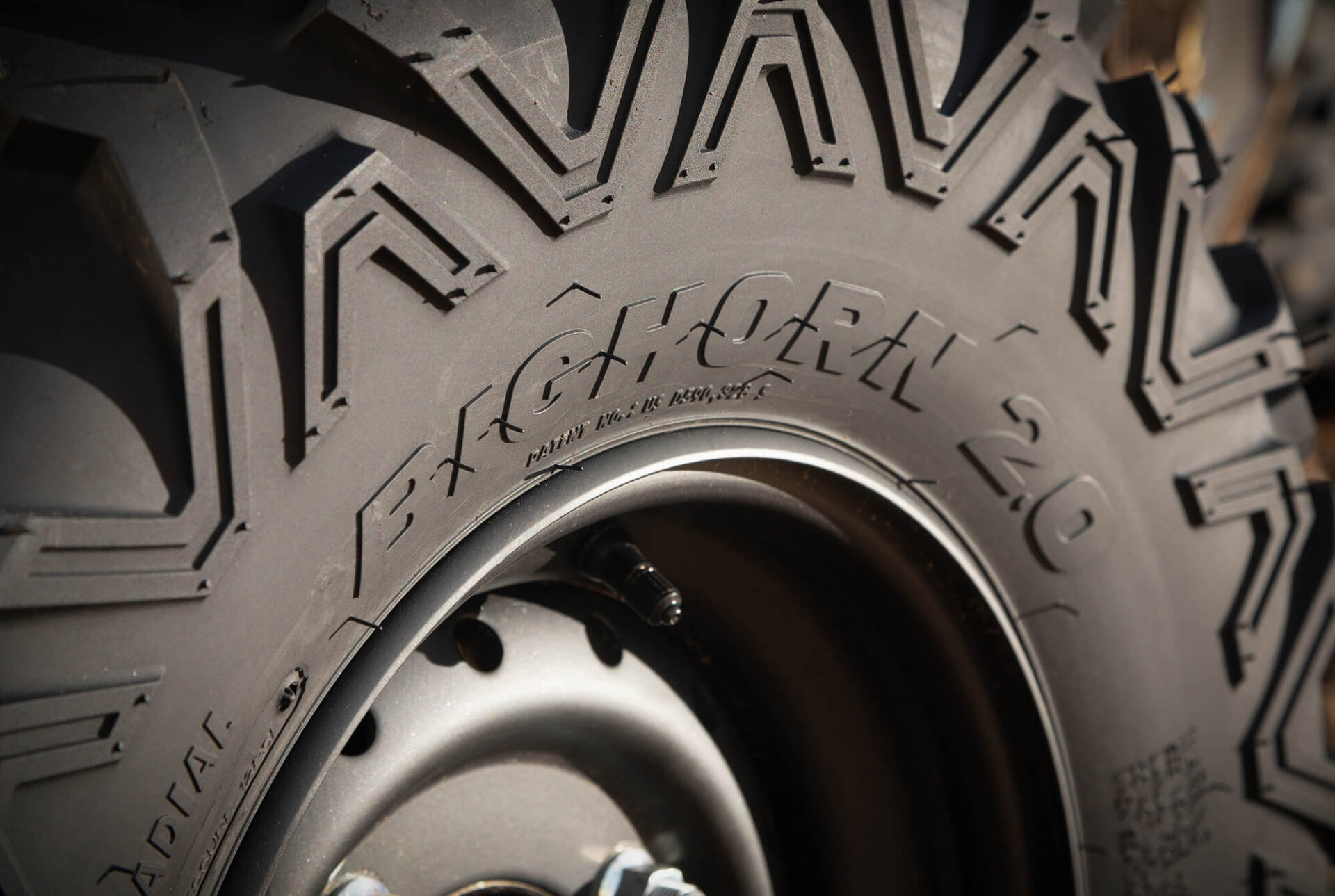 Close-up of Maxxis Bighorn 2.0 sidewall logo