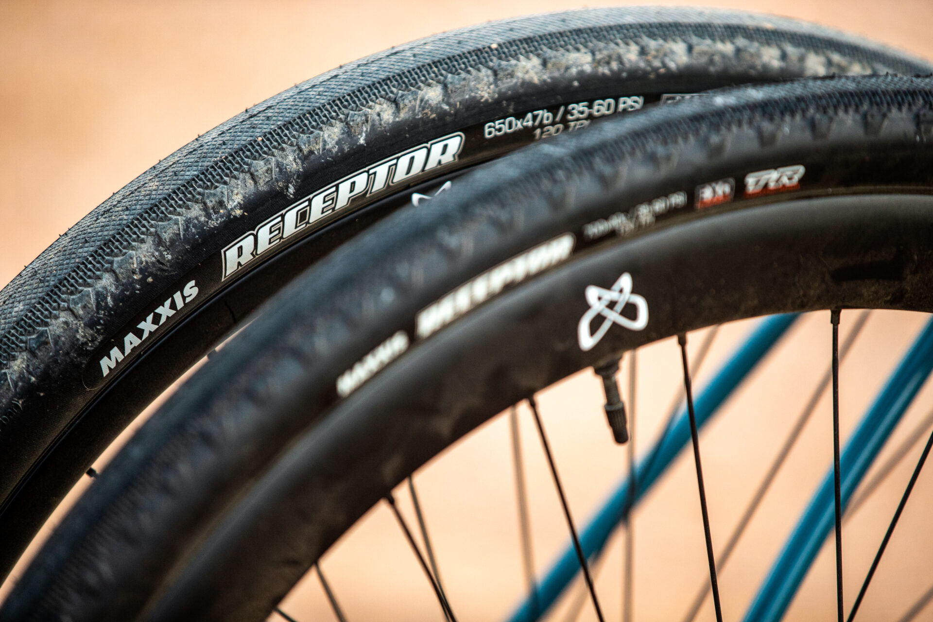 Maxxis Receptor bicycle tires.