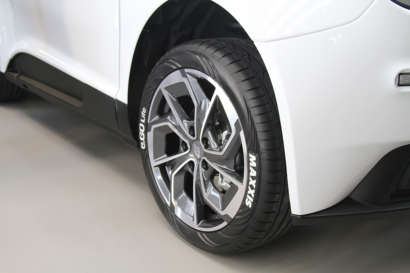 Maxxis e.GO Lite tire.