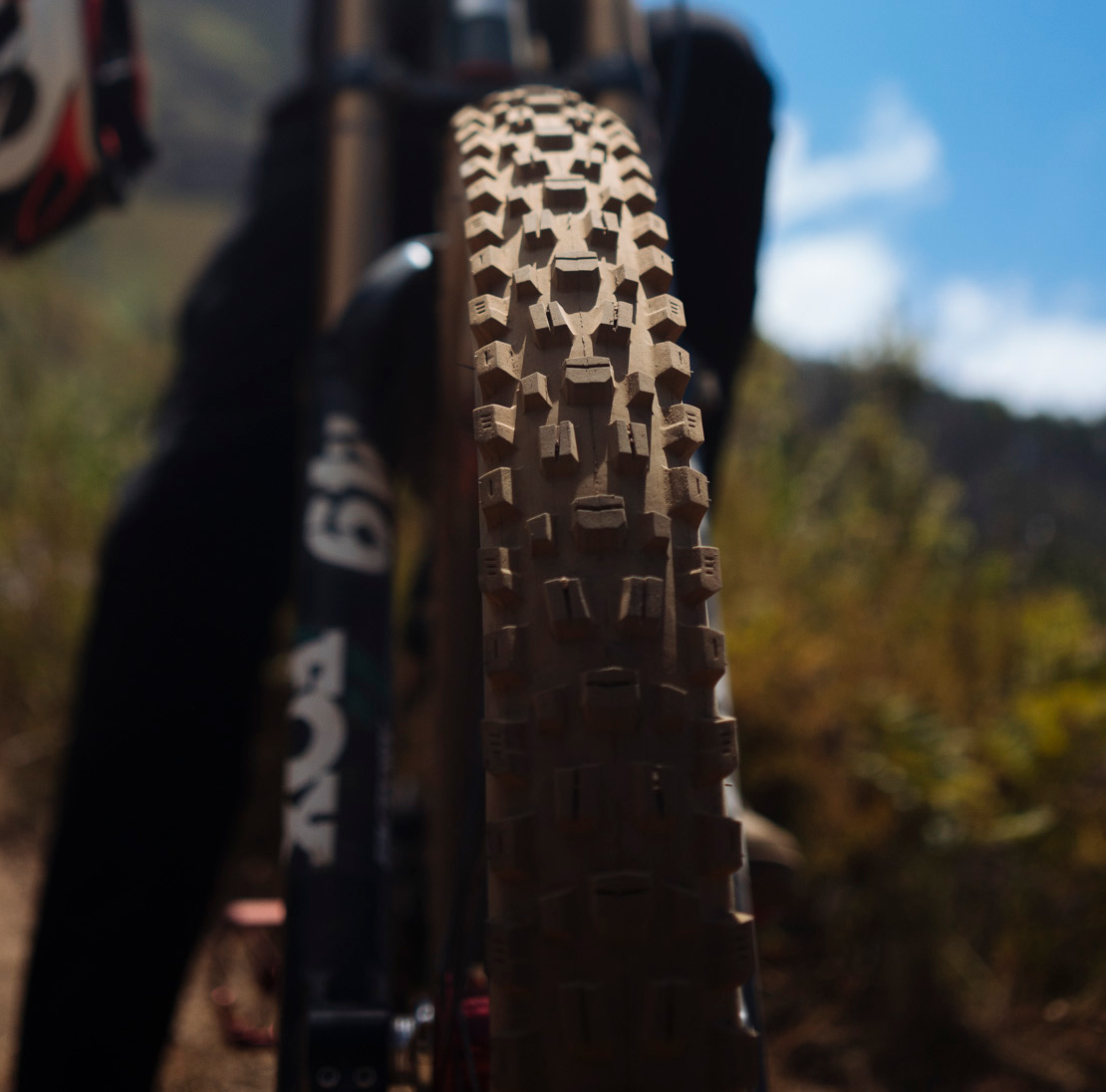 Maxxis_Assegai