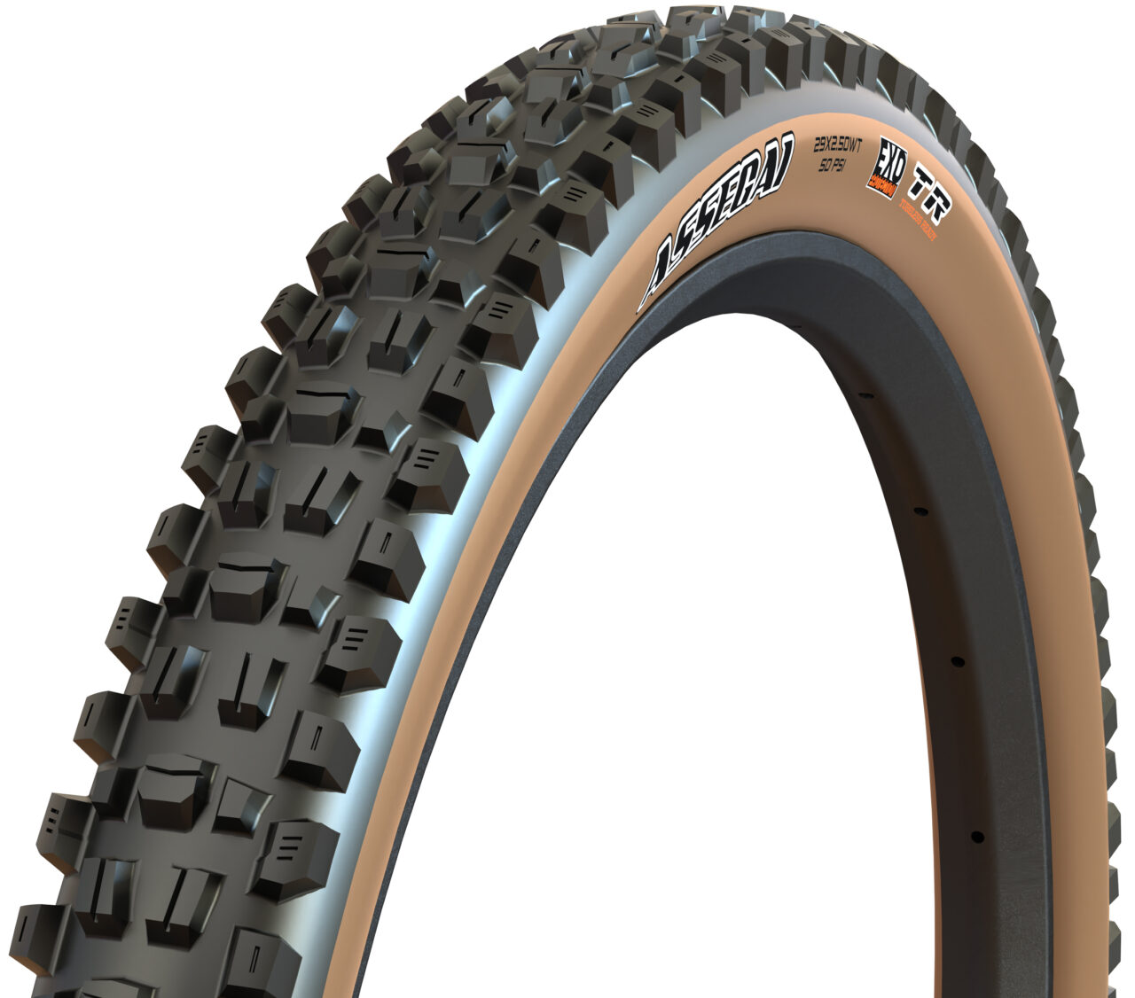 Assegai_Tanwall_Camera_1