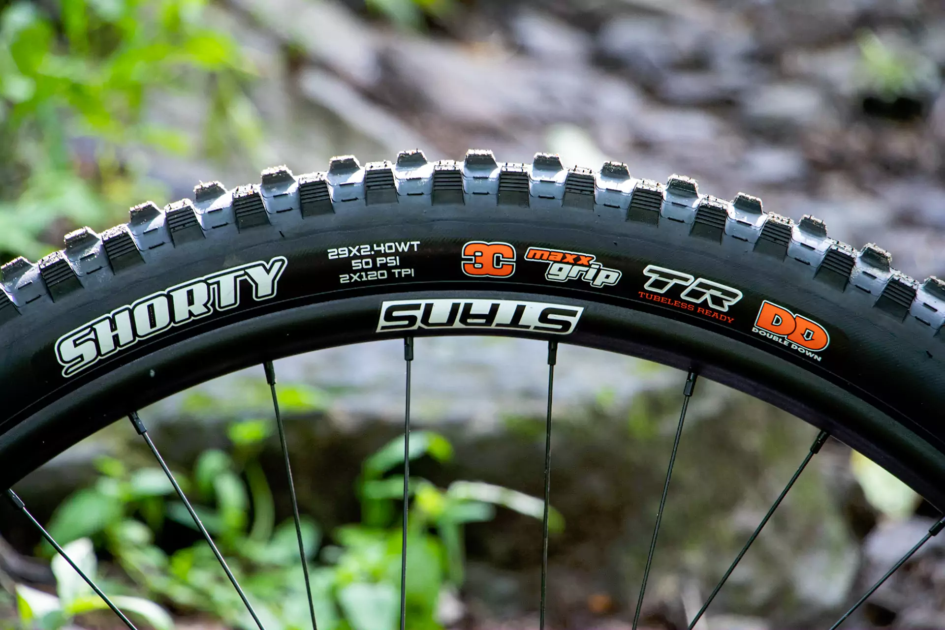 Tubeless Ready Maxxis Shorty bicycle tire.