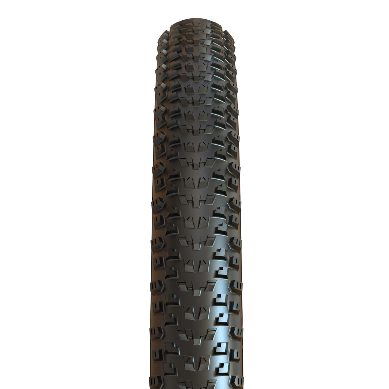 Maxxis Pace MTB tire treadshot