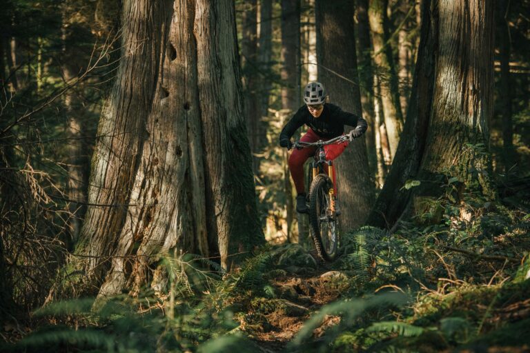 Rocky Mountain rider in the forest