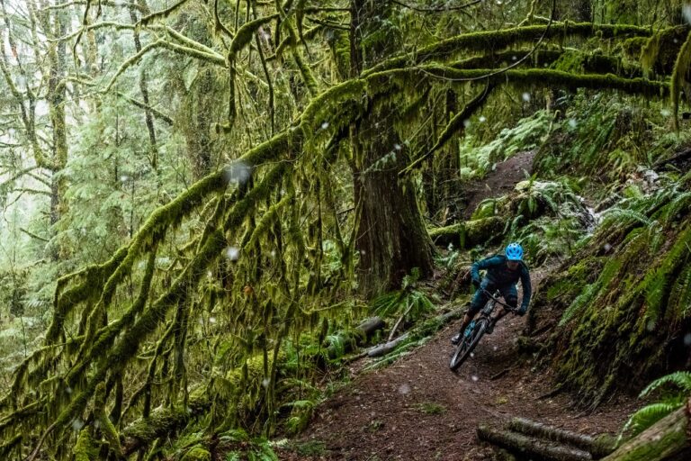 Geoff hitting a corner in a mossy forest