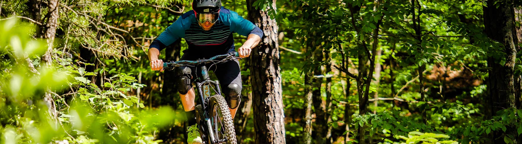 Rider shredding out of the trees