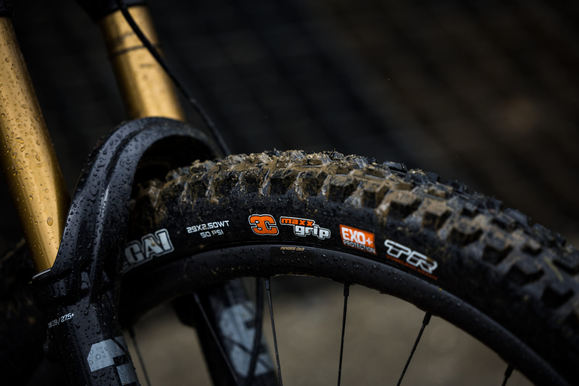 Close up of a Maxxis bicycle tire