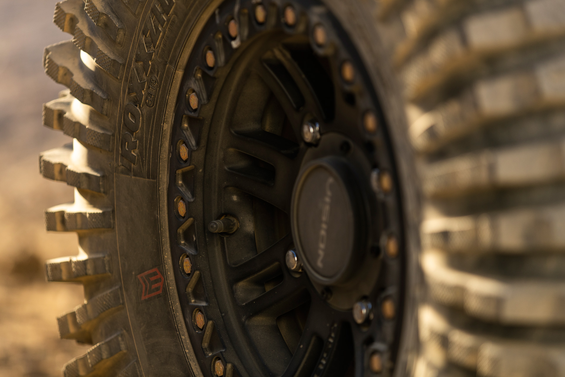 Close-up of Maxxis Roxxilla Sidewall