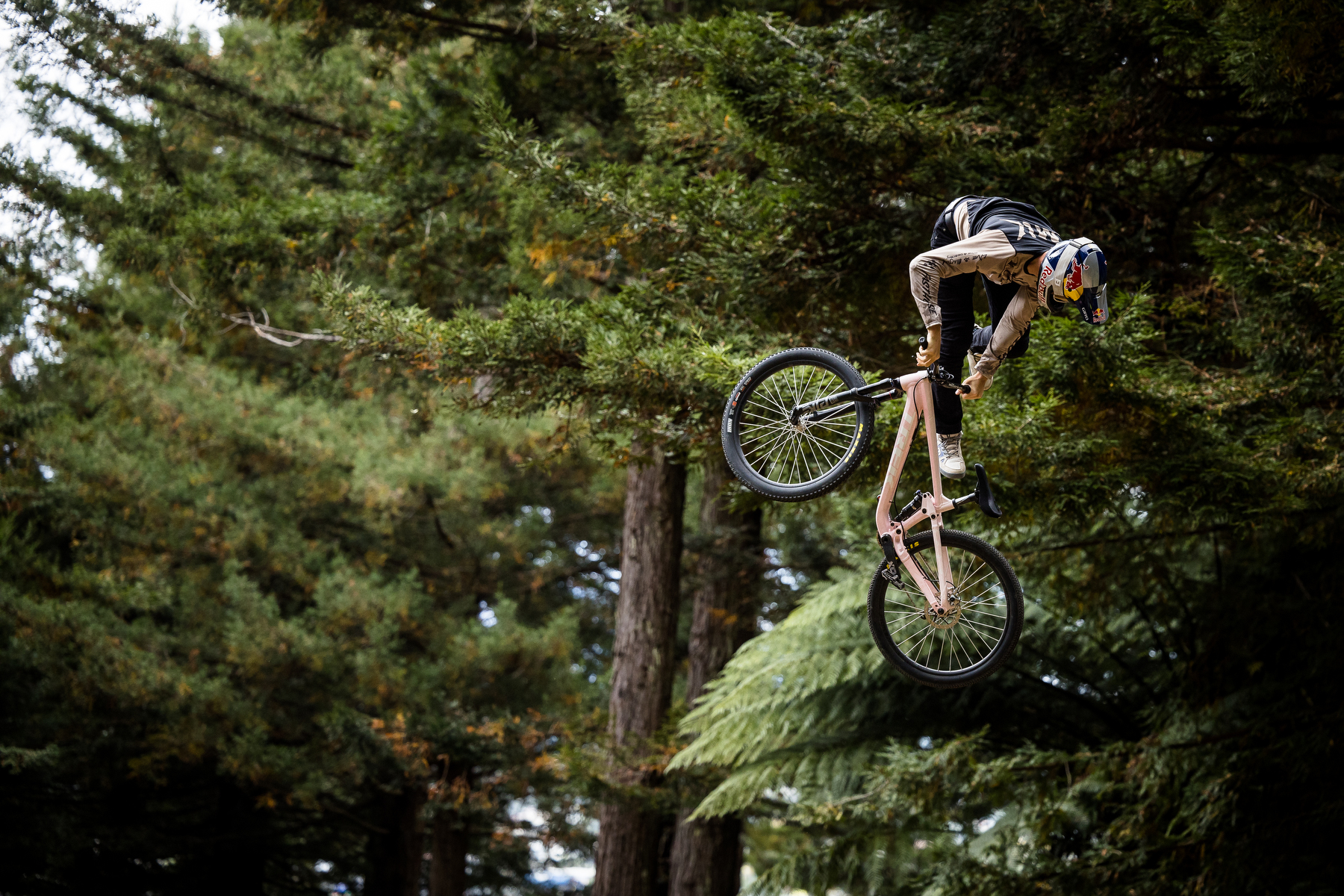 Emil doing a trick on his run