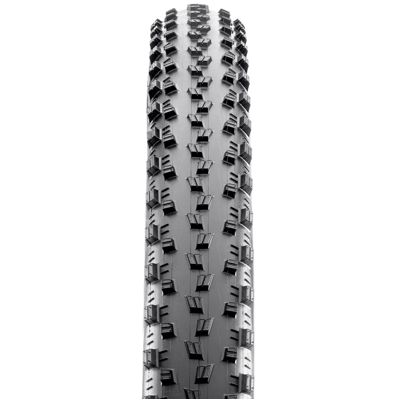 maxxis severe mountain bike tire