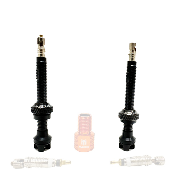 MAXXOUT-valves-stems