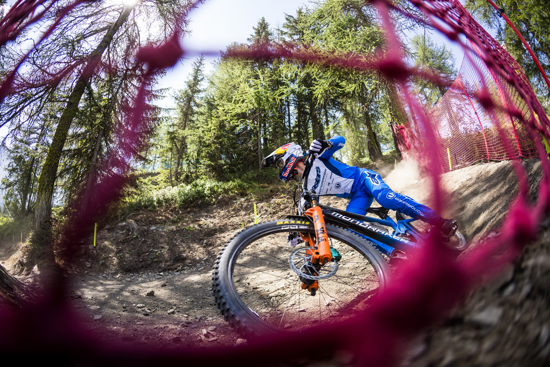 Wide angle shot of bike rider in woods