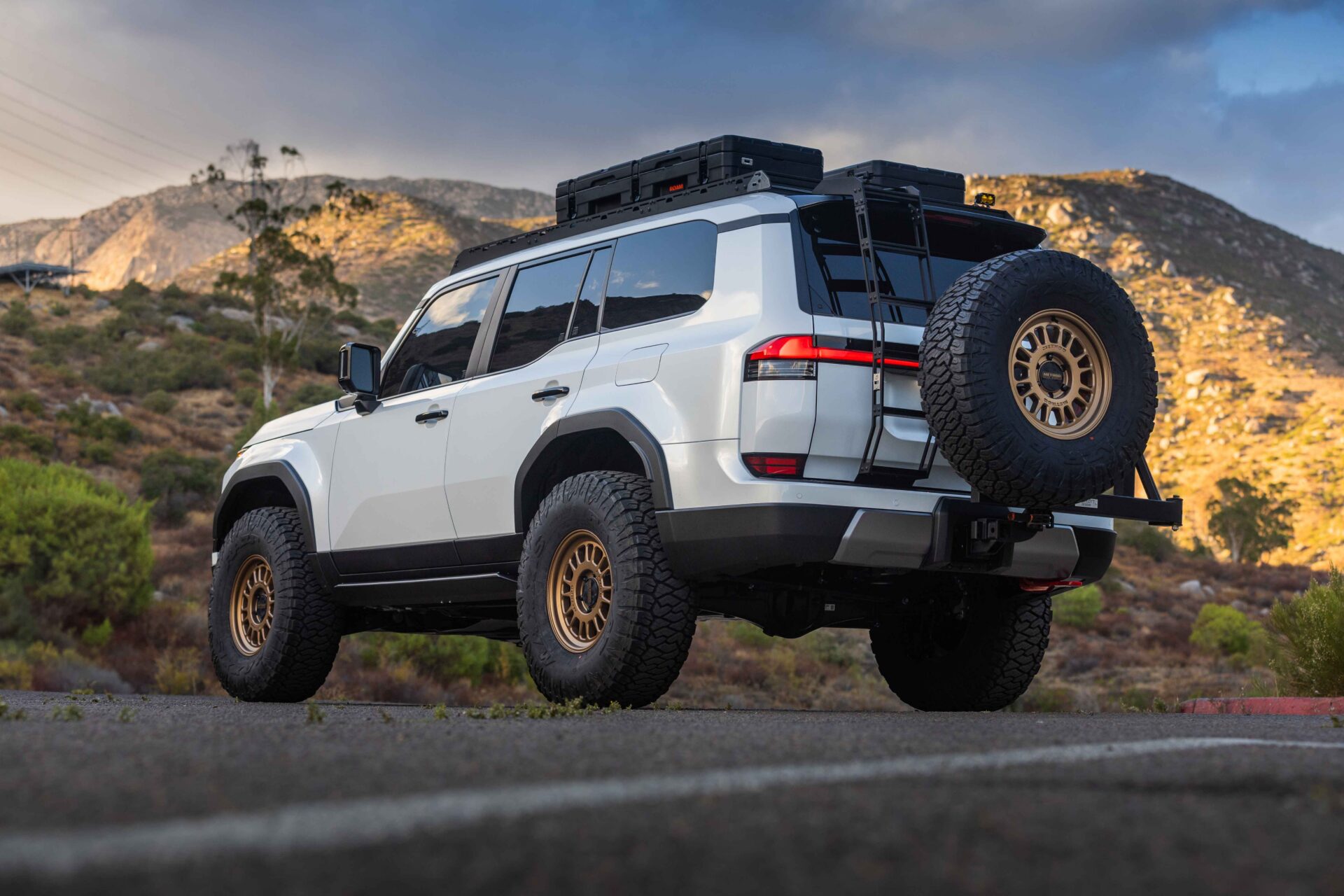 rear view of lexus suv with tire carrier. In front of mountains.