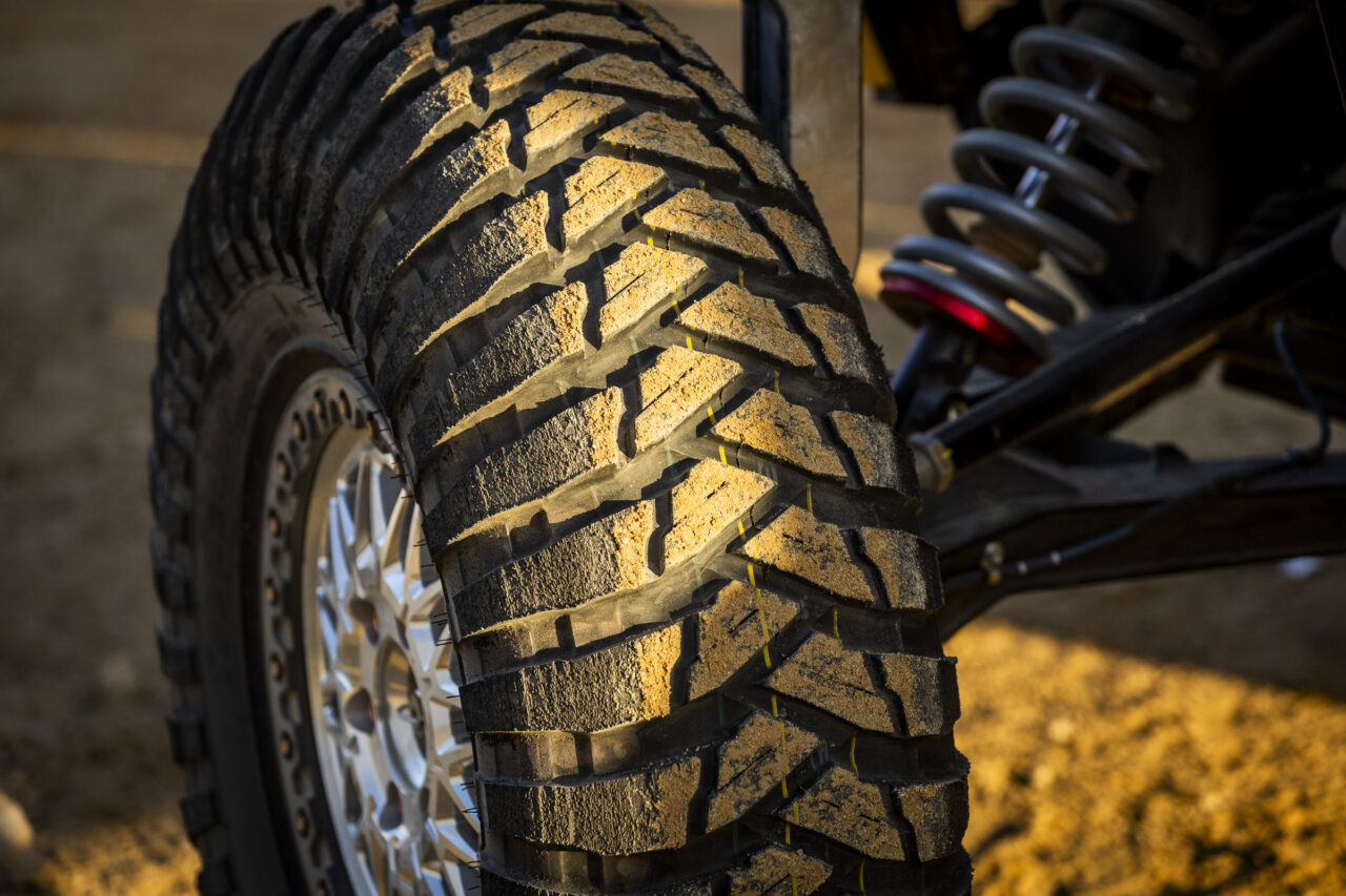 shaved Trepador up close.